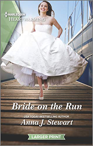Bride on the Run book cover