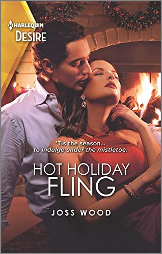 Hot Holiday Fling cover