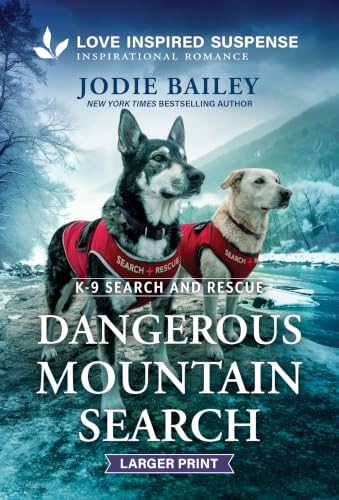 Dangerous Mountain Search book cover