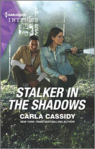 Stalker in the Shadows cover