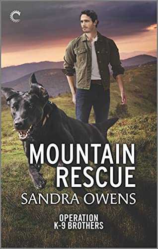 Mountain Rescue book cover