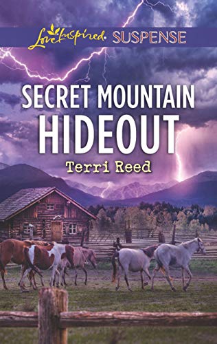 Secret Mountain Hideout cover