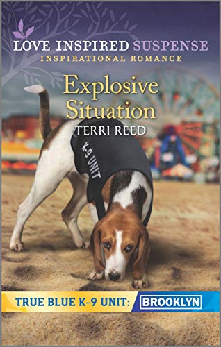 Explosive Situation (By: Terri Reed) cover