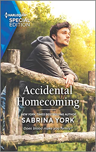 Accidental Homecoming book cover