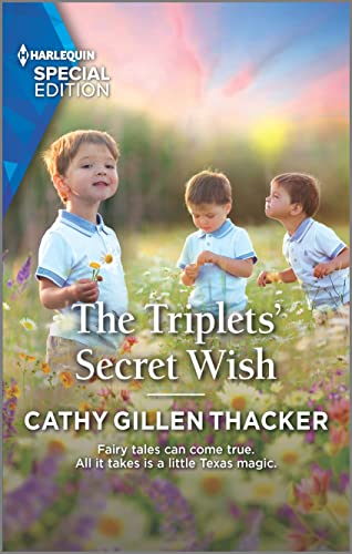 The Triplets' Secret Wish book cover
