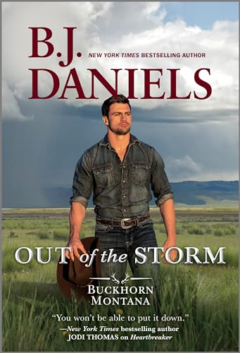 Out of the Storm book cover