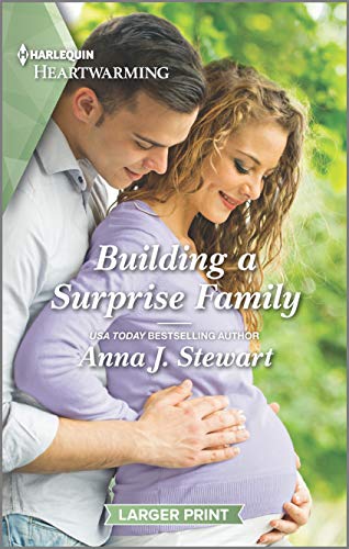 Building a Surprise Family book cover