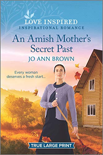 An Amish Mother's Secret Past book cover