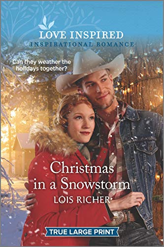 Christmas in a Snowstorm book cover