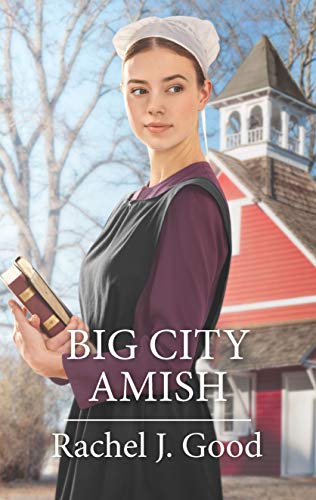 Big City Amish book cover