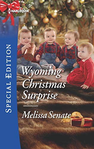 Wyoming Christmas Surprise book cover