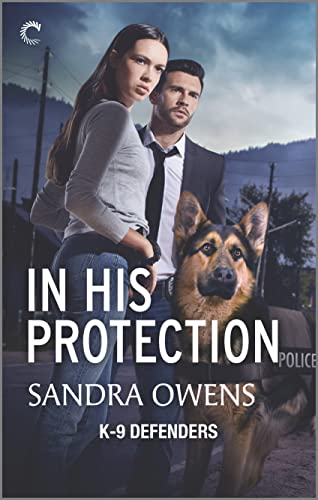 In His Protection book cover