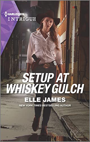 Setup at Whiskey Gulch book cover