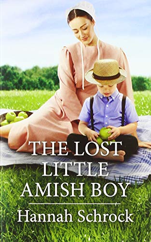 The Lost Little Amish Boy book cover