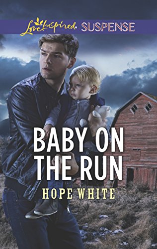 Baby on the Run book cover