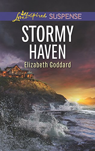 Stormy Haven book cover