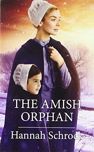 The Amish Orphan book cover