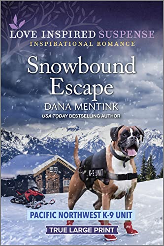 Snowbound escape / Dana Mentink
