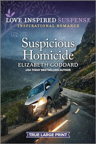 Suspicious Homicide cover
