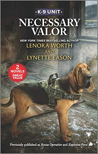 Necessary Valor cover