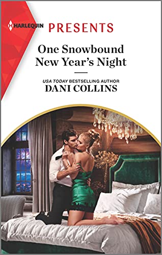 One Snowbound New Year's Night book cover