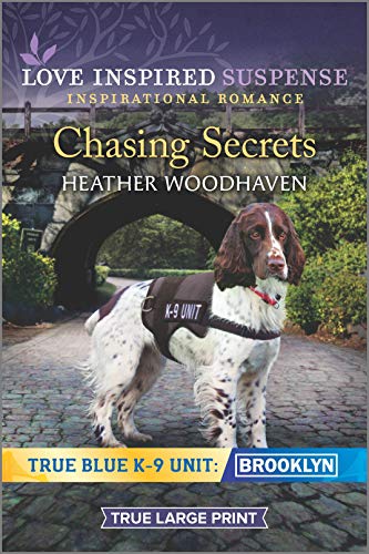 Chasing Secrets (By: Heather Woodhaven) cover