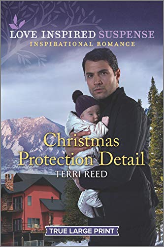 Christmas Protection Detail book cover