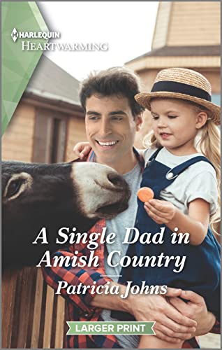 A Single Dad in Amish Country cover