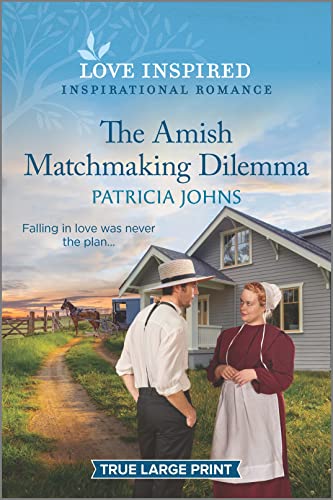 The Amish Matchmaking Dilemma book cover