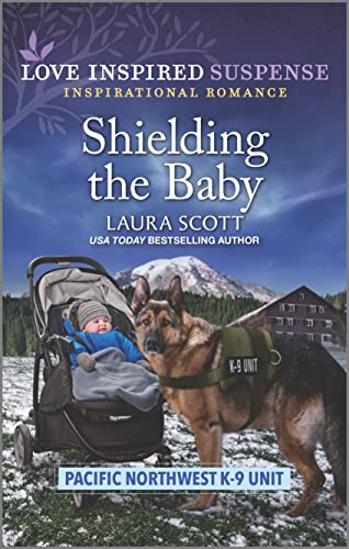 Shielding the Baby book cover
