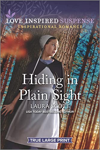 Hiding in Plain Sight book cover