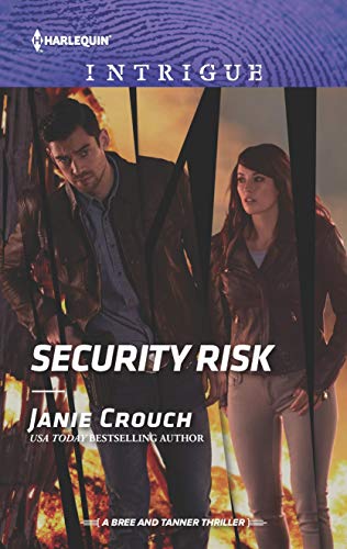 Security Risk book cover