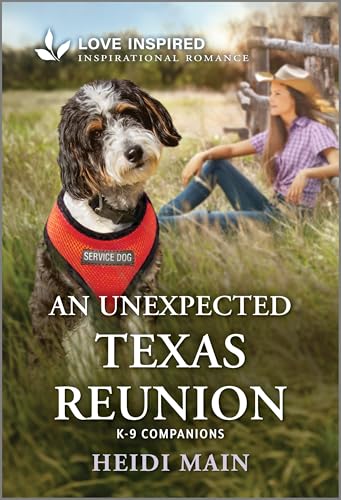 An Unexpected Texas Reunion book cover