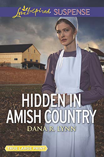 Hidden in Amish Country book cover