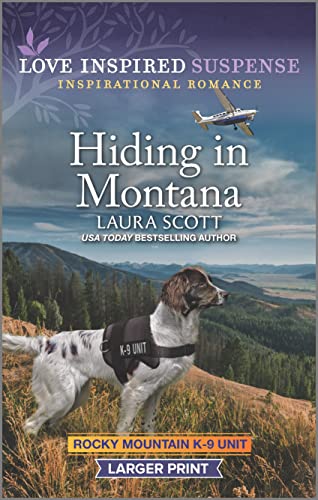 Hiding in Montana book cover