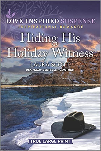 Hiding His Holiday Witness book cover
