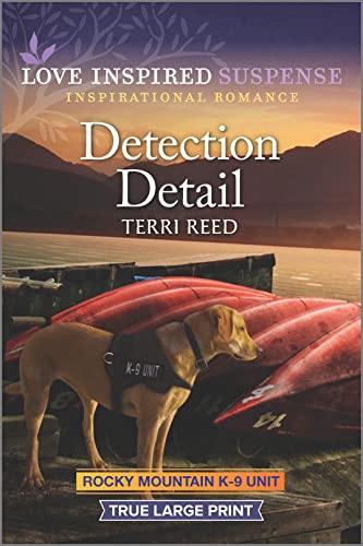 Detection Detail book cover