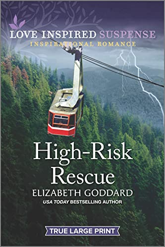 High-Risk Rescue book cover