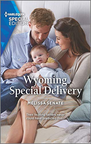 Wyoming Special Delivery book cover