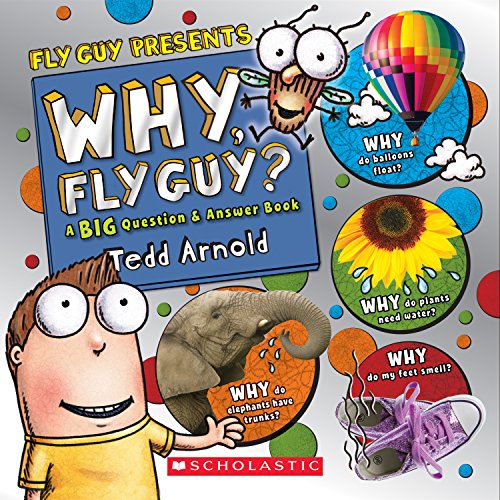 Why, Fly Guy? book cover