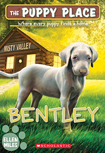 Bentley book cover