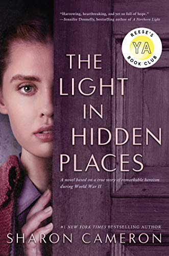 The Light in Hidden Places book cover