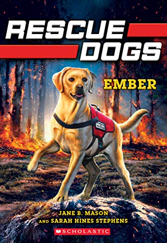 Ember book cover