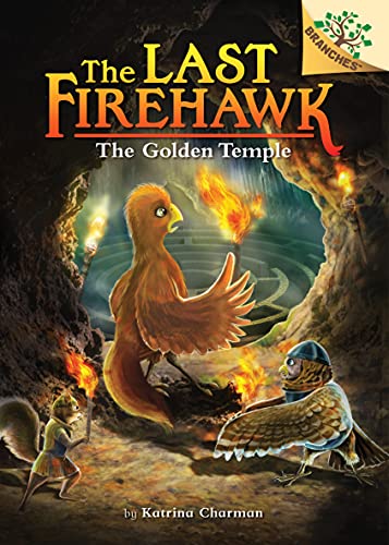 The Secret Maze book cover