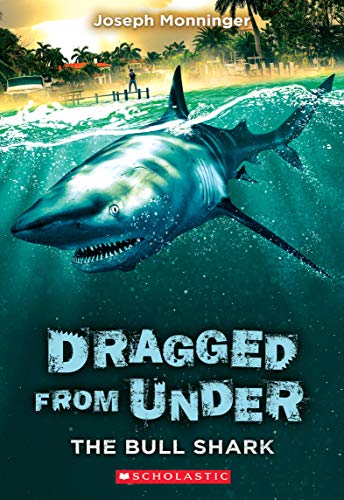 The Bull Shark book cover