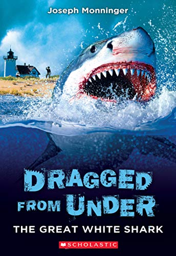 The Great White Shark / by Monninger, Joseph