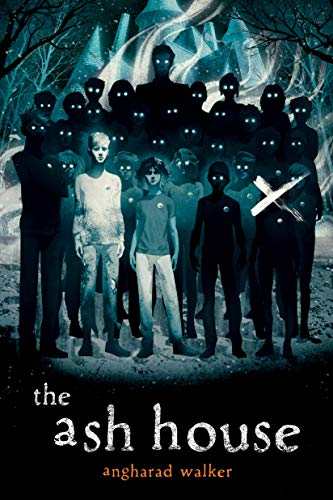 Cover of Ash House