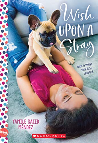 Wish Upon a Stray book cover