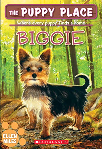 Biggie book cover