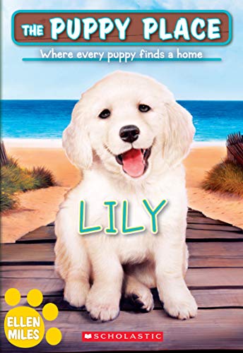 Lily book cover